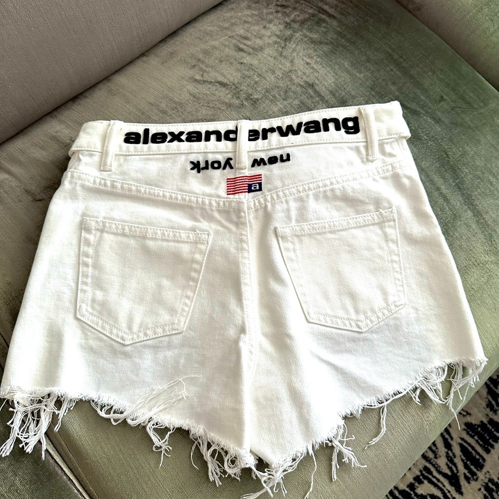 Sexy Alexander Wang shorts